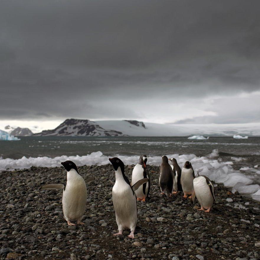 Fear at isolated Antarctica base as a man is accused of attacking a colleague and making threats